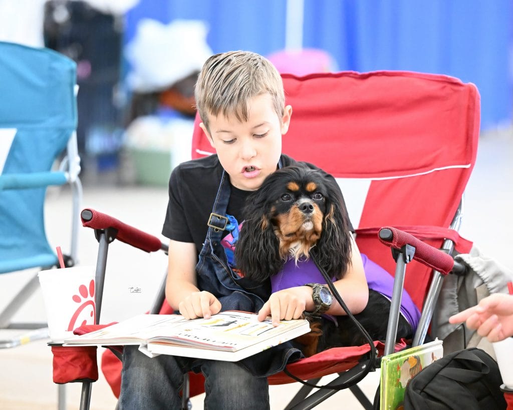 A young boy reading to his black and tan Cavalier on a camp chair.