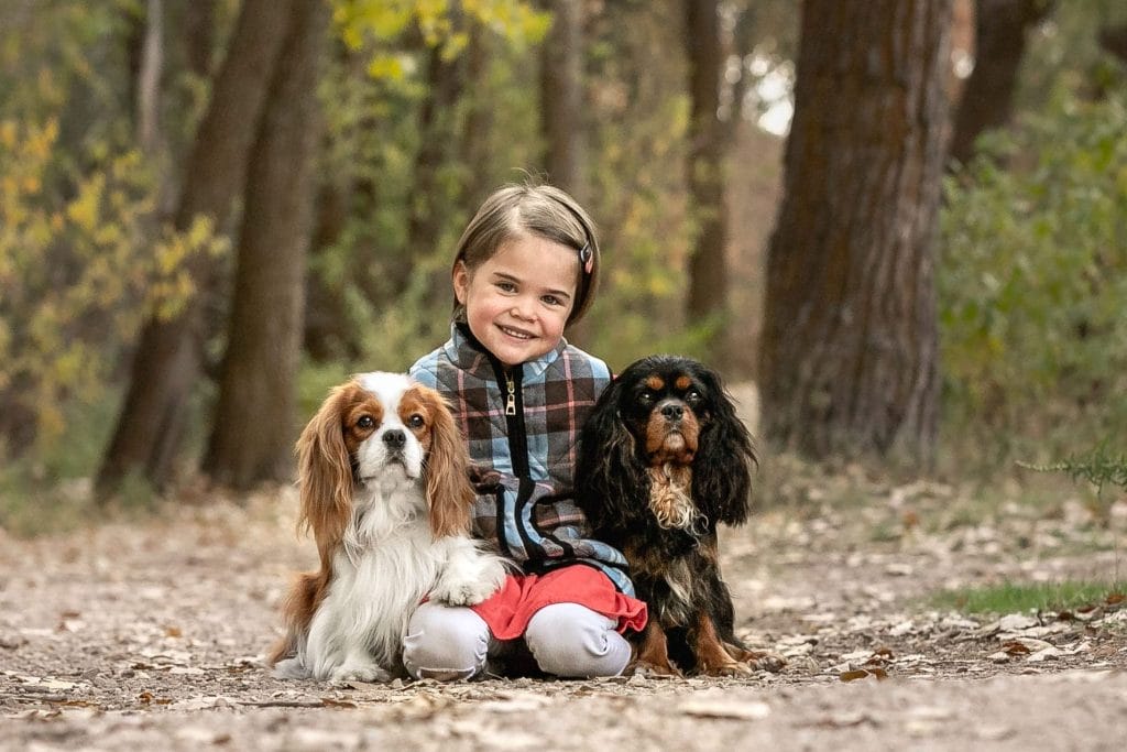 Girl sitting in the middle of a woodsy path with two Cavaliers.